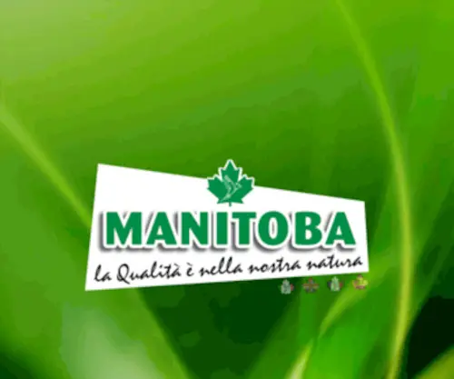 Manitobasrl.com(Manitoba srl) Screenshot