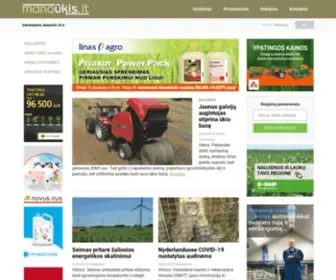 Manoukis.lt(Index page keywords) Screenshot