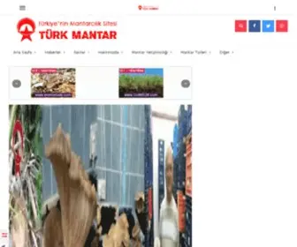Mantaryetistirme.com(Mantar Üretimi) Screenshot