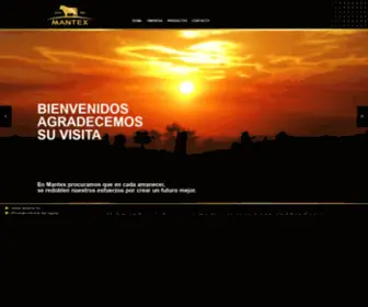 Mantex.com.uy(Mantex) Screenshot