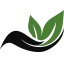 Manutea.sk Favicon