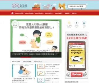 Maoup.com.tw(「毛起來 MoaUP」) Screenshot