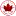 Maple-School.com Favicon
