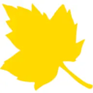 Mapleframing.co.uk Logo