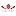 Mapy.net.pl Favicon