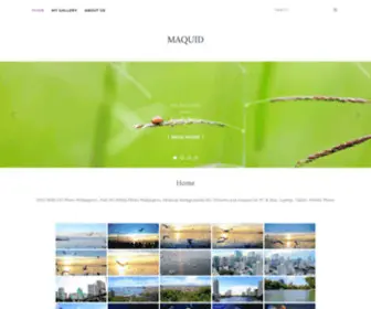 Maquid.com(Home) Screenshot
