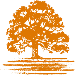 Marashlife.com Favicon