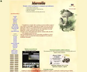 Marcelino.cz(Marcel Kubín) Screenshot
