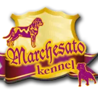 Marchesato.it Logo