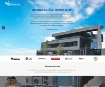 Mardelsur.cl(Mar del Sur) Screenshot