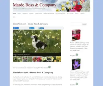 Mardeross.com(Marde Ross & Company) Screenshot