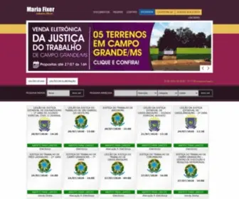 Mariafixerleiloes.com.br(Maria Fixer) Screenshot