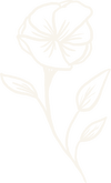 Mariajosevielman.com Favicon