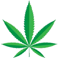 Marijuanatradeemporium.com Favicon