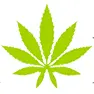 Marikacannabislight.it Logo