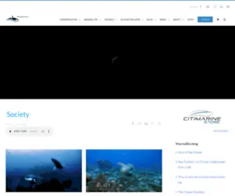 Marinebio.org(MarineBio Conservation Society) Screenshot