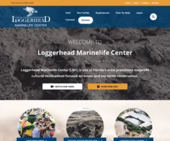 Marinelife.org(Loggerhead marinelife center loggerhead marinelife center) Screenshot