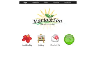 Marioandson.net(Mario And Son Palms and Ornamental Plants Miami) Screenshot