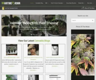 Maritimegrown.com(Maritime Grown Cannabis Blog) Screenshot