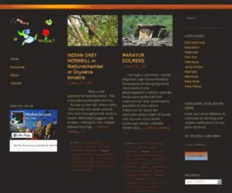 Markazhi.com(Exploring Stories of Bird Watching) Screenshot