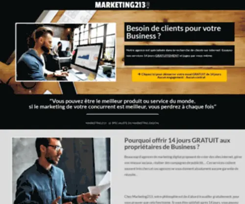 Marketing213.com(Marketing 213) Screenshot