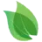 Markettealeaves.com Favicon