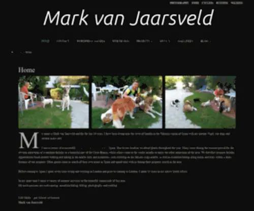 Markvanjaarsveld.com(Markvanjaarsveld) Screenshot