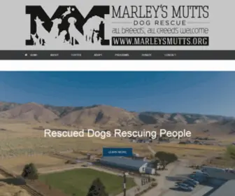Marleysmutts.org(MARLEY’S MUTTS DOG RESCUE is a 501(c)(3)) Screenshot