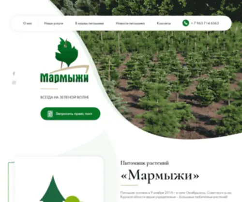 Marmizhi.ru(Остались последние дни выкопки туй в нашем питомнике) Screenshot