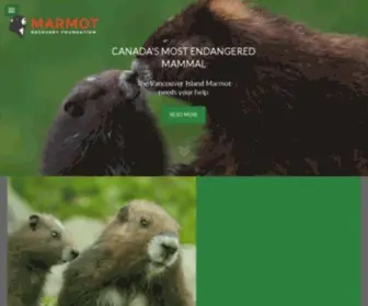 Marmots.org(Recovering the critically endangered Vancouver Island Marmot) Screenshot