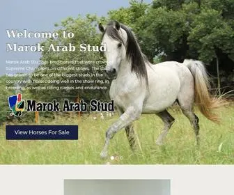 Marokarab.co.za(Marok Arab Stud) Screenshot