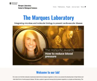 Marqueslab.com(Our vision) Screenshot