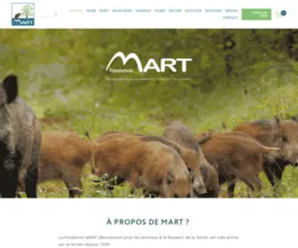 Mart.ch(Fondation MART) Screenshot