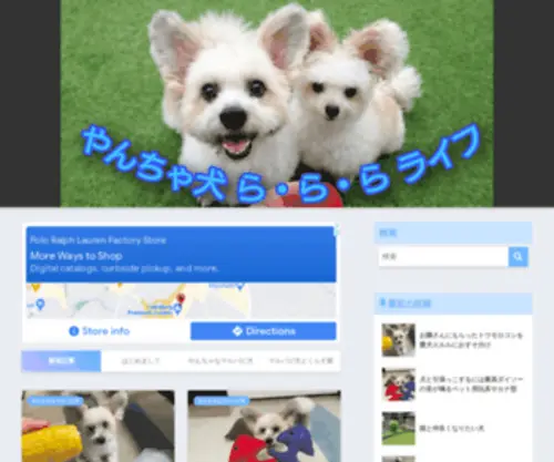 Marupapi.com(ウサギと見間違えるような、大きなお耳、タヌキ) Screenshot