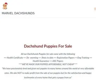 Marveldachshunds.com(Dachshund Puppies For sale in USA) Screenshot