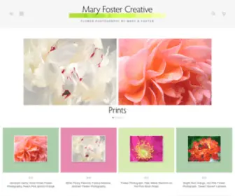 Maryfostercreative.com(Mary Foster Creative) Screenshot