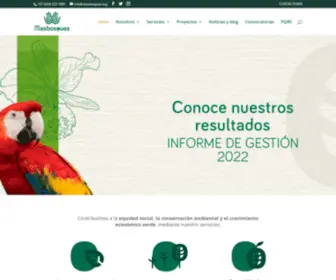 Masbosques.org(Corporación para el manejo sostenible de los bosques) Screenshot