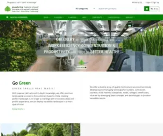 Mashrita.com(Shop garden indoor office air purifier gift plants planters online) Screenshot