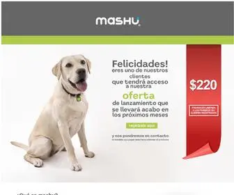 Mashu.com.mx(MASHU) Screenshot