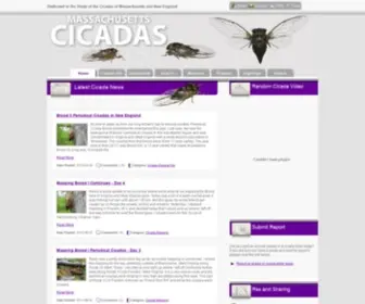 Masscic.org(Massachusetts Cicadas) Screenshot