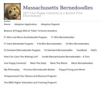 Massdoodles.com(24/7 Live Puppy Cameras in a Kennel Free Environment) Screenshot