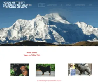 Mastintibetanomexico.com(Mastintibetanomexico) Screenshot