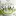 Matchaslim.me Favicon