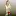 Mathepirat.de Favicon