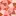 Maths-M.ch Favicon