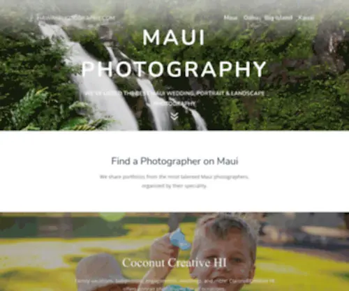 Mauiphotographers.org(Maui Photographers) Screenshot