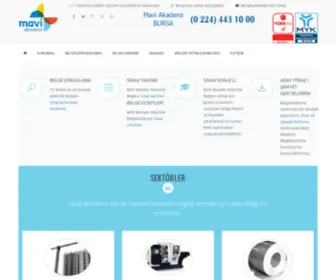 Maviakademi.com(Mavi Akademi) Screenshot