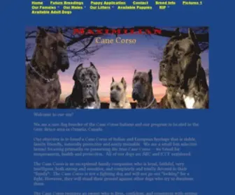 Maximiliancanecorso.com(We are a rare dog breeder of the Cane Corso and our program) Screenshot