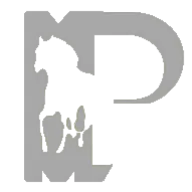 Maxpowergears.com Favicon