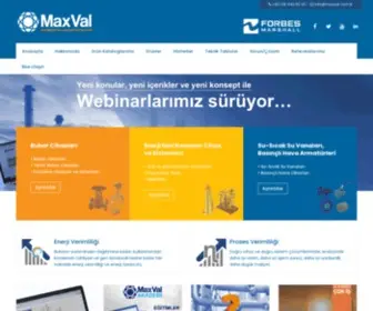 Maxval.com.tr(Maxval) Screenshot